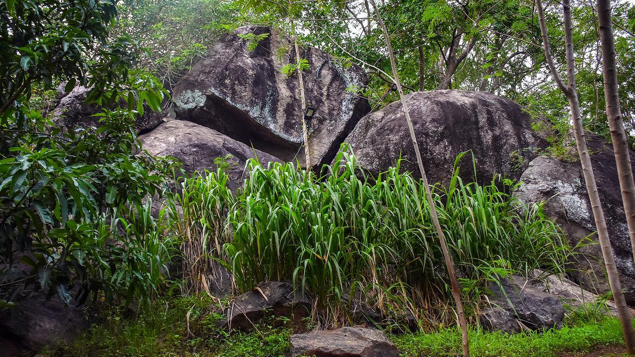River Glamping By Gaga Bees Udawalawe Exterior foto