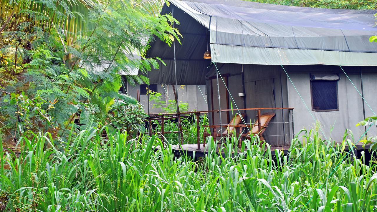 River Glamping By Gaga Bees Udawalawe Exterior foto